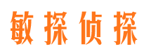 井冈山侦探公司